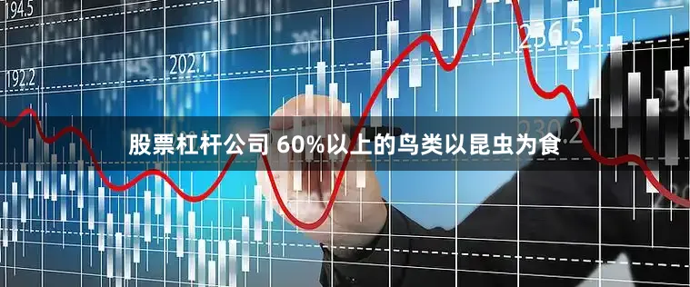 股票杠杆公司 　　60%以上的鸟类以昆虫为食