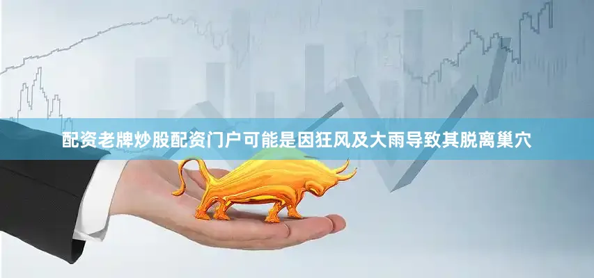 配资老牌炒股配资门户可能是因狂风及大雨导致其脱离巢穴